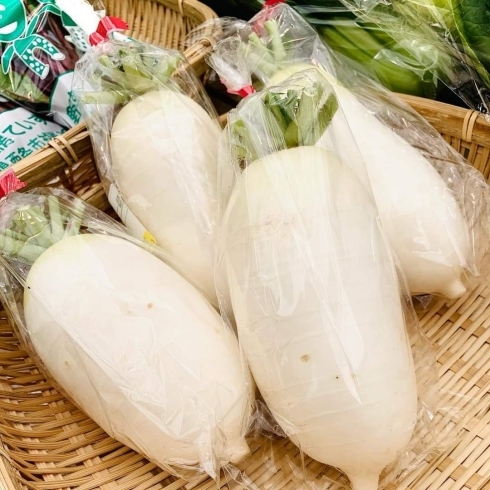 「新鮮野菜を多数取り揃えています✨✨✨」