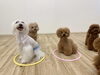 理玖くん＆くまくん　マテ練習中「ましゅまろ幼稚園🐾」