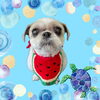 「Dog salon mofu mofu　余市町」