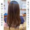 ヘアカラー「ロングヘアからグラボブへ」