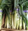去年の画像です。「5/28・5/30限定！希少なヤングコーンと旬の八王子産野菜が入荷します　八日町　甲州街道　八王子　八王子市　八王子産野菜　小さな道の駅　オール八王子　八王子お土産　八王子手土産　新鮮　朝採れ　人気」