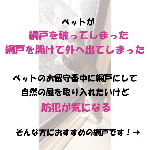 ペットの網戸のトラブルありませんか？「ペットのいるご家庭におすすめ！破れない網戸」