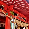 上田小県地域の神社