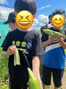 「【札幌市北区児童デイサービス】畑で収穫祭！」