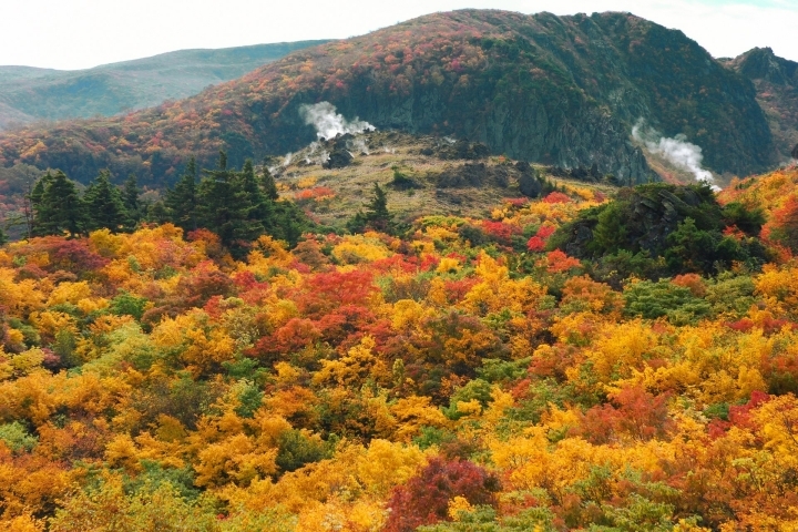 北上 一関 奥州のおすすめ 紅葉スポット まいぷれ 花巻 北上 一関 奥州 北上 一関 奥州のおすすめ 紅葉スポット まいぷれ 花巻 北上 一関 奥州