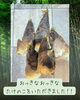 瑞々しい採れたて筍を堪能「ご家族様からいただいた立派なタケノコで、旬のたけのこご飯を楽しみました」