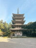 「歴史と文化に触れる旅、世界遺産・京都「醍醐寺」をご紹介」