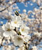 「桜の季節は心と体のメンテナンス日和🌸」