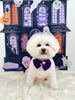 ぱんちゃん「Happy Halloween 2026🎃」