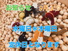「コンテックス　クツシタ人　[267/365]」