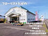 「クリスマス先取り！珍しいカラーのポインセチアは人気なので、早めにゲットしよう！南魚沼市フローリストたかの。」