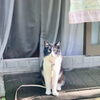 「9/1 小樽の古民家ゲストハウスより」