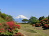 「みんなに自慢したい！三島からの富士山写真 大募集！！」