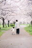 桜並木の下、家族の特別な瞬間「桜フォト×親子ヨガコラボイベント初開催のご報告」