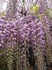 「三徳様」
