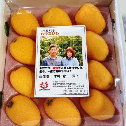 「今年もこの果物の季節が到来しました！！ 熊本県産　「びわ(温室栽培)」」