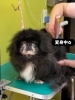 お利口さん✂️「ミラクル変身ベタくん🤩」