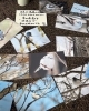 幸せのお裾分け M Kitchenのニュース まいぷれ 帯広 十勝