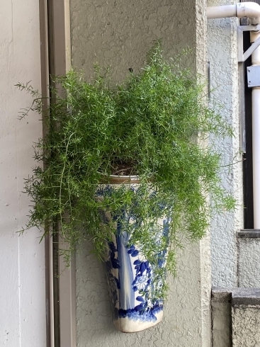 古染付の花入れ 西船橋駅から徒歩1分のアンティクショップ Antiques Den アンティーク デンのニュース まいぷれ 船橋市 古染付の花入れ 西船橋駅から徒歩1分のアンティクショップ Antiques Den アンティーク デンのニュース まいぷれ 船橋市
