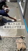 職人の手で作り出す、極上の鏡面仕上げ「ウッドデッキ下を守る「金ゴテ鏡面仕上げ」と7月平屋見学会のご案内」