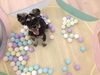 Smile にほちゃん「ましゅまろ幼稚園　^o^」