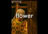 「短編映画「flower」が2025年9月、バリ国際AI映画祭にて上映決定！ 栃木の原風景をAI映像で描いた作品が世界へ」