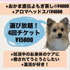 1番人気♥︎毎回好きなメニュー選べる　ミニお得チケット