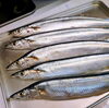 ぷっくりした秋刀魚は、焼いて提供致します💥「冷やしおでんや秋刀魚はいかがですか🥰　隠れ酒家　風雅」