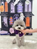むくちゃん「Happy Halloween 2026🎃」