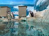 ぜひお越しください「🐧新しくなりました!!」