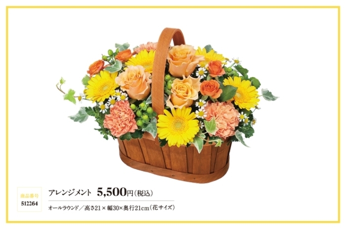 11月の誕生花 ガーベラ 花キューピットでお花じかん まいぷれ 黒部 入善 朝日 11月の誕生花 ガーベラ 花キューピットでお花じかん まいぷれ 黒部 入善 朝日