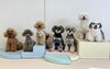 にこ♡ハル♡マル♡アン♡マリン♡ペチ♡アモル「ましゅまろ幼稚園🐾」