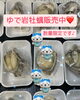 「本日も岩船産岩牡蠣入荷中でーす。」