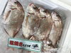 「魚魚入れ鮮魚コーナーおすすめは「シマアジ」です♪」