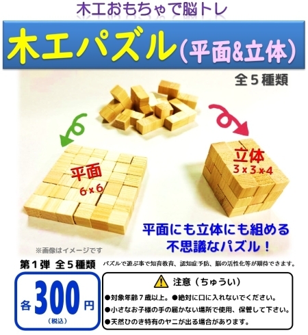 ブロックパズル（平面＆立体）　全５種「木工パズルをガチャガチャで販売しています。お得なセット販売もあります。」