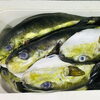 「魚魚市場鮮魚コーナーおすすめは「北海道産ホタテ」です♪」