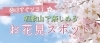 和歌山のお花見スポットまとめ