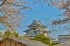 「ペットと一緒に春を満喫🌸トヨタレンタカーで楽しむ宮崎の春・お花見ドライブガイド！【西都原古墳群・天ケ城公園】」