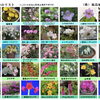 リスト３　画像をタップ