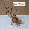「大人の生け花ワークショップ　初心者入門編🔰
ハロウィンカラーの生け花
カウベルコーヒー　夜カフェにて
岡山市中区赤田
生米シフォンケーキセット付き」