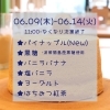 2022.06.09-2022.06.14「Stars Kitchen~手作りシフォンケーキのお店~【宮崎市　船塚　お菓子】」