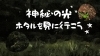磯子区☆ホタル観賞】神秘の光！ホタルを見にいこう | まいぷれ編集部