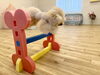 Ａきなこちゃん驚き‼️の高さです。すごい👍「ましゅまろ幼稚園🐾」