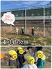 「✩明けましておめでとうございます✩ 【交野市 小規模保育園】」