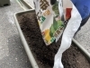 栄養土もしっかりと！「緑のカーテン設置しました。」