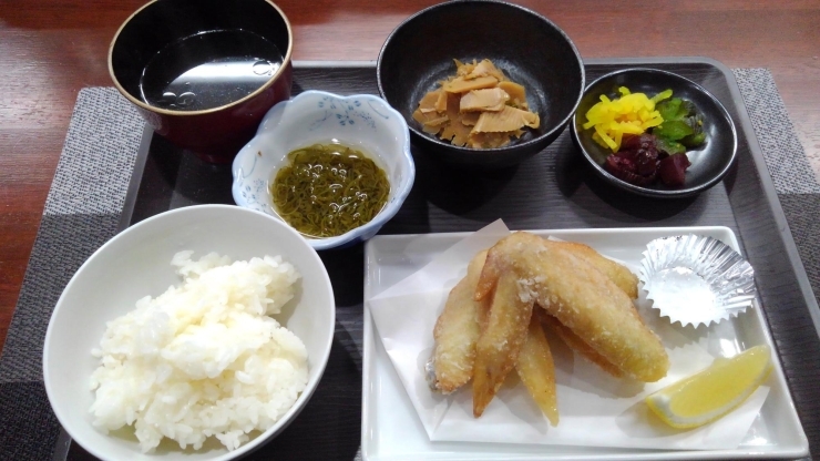 満腹です‼️「今日のお得なランチは手羽先唐揚げ【京都市南区で地鶏を食べるなら！ 鳥夜ゆうこ】」