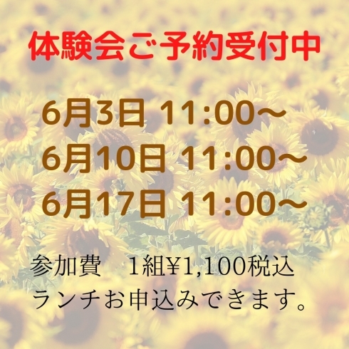 「SunFlower BabySigns新規入会キャンペーン」