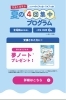 「【金沢区の子供英語教室】夏の集中4回プログラム|金沢区寺前にある英語教室」