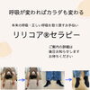 「まもなく登場！コア（呼吸筋）をリリース（解放）するセラピー」