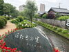 「【西条市神拝緑地・ほたるの里】色とりどり✨鮮やかな紫陽花が楽しめます😊」